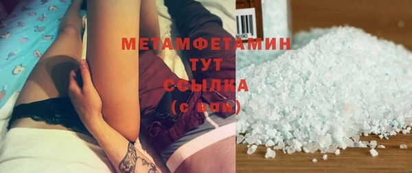 трава Коряжма
