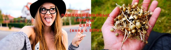 трава Коряжма