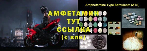 трава Коряжма