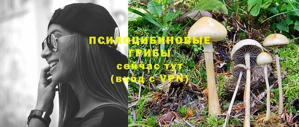 mdpv Костерёво