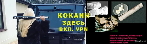 трава Коряжма