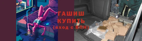 трава Коряжма
