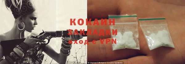 трава Коряжма