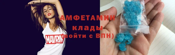 трава Коряжма