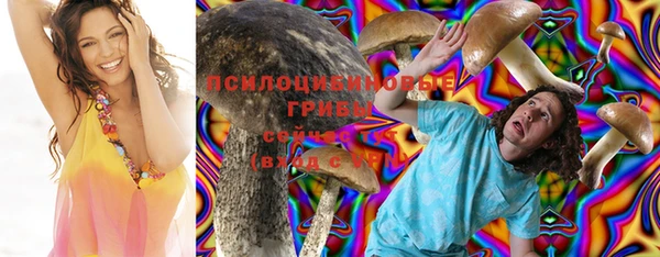 трава Коряжма