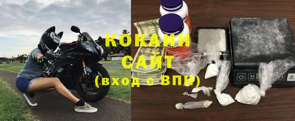 трава Коряжма