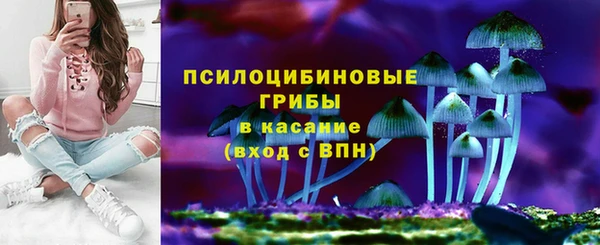 трава Коряжма