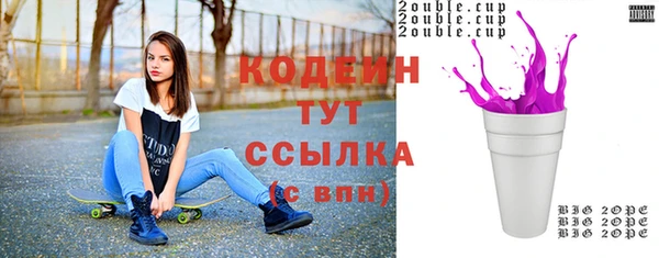 трава Коряжма