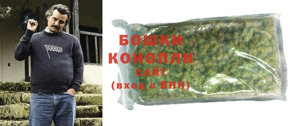 трава Коряжма