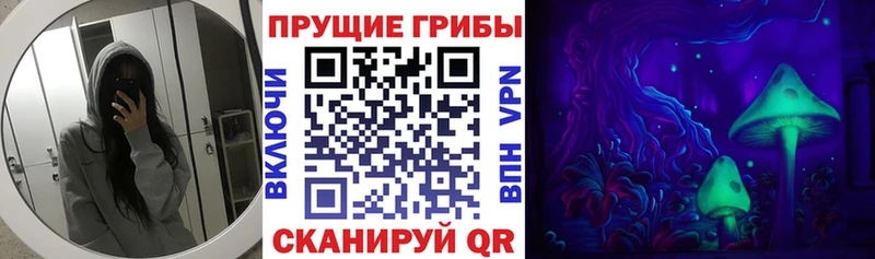 Купить закладки  Баксан  Галлюциногенные грибы мухоморы 